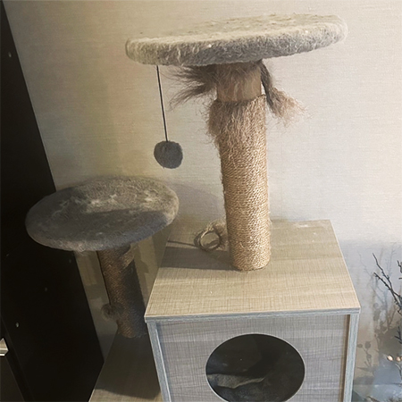 Cat Tower and Pet Furniture Disposal