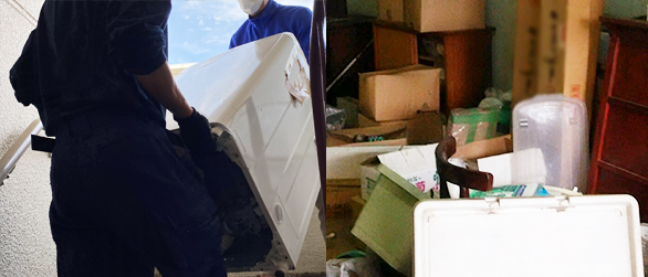 Trash bags and daily waste removal