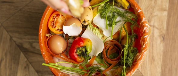 easy, fast kitchen waste disposal