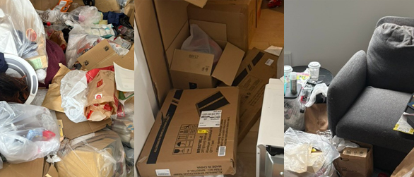 Furniture, appliances, and daily items removal before departure