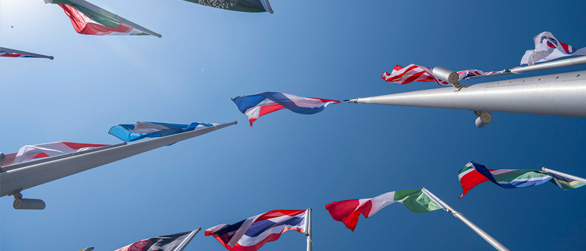 Tax-free junk removal support for embassies and diplomatic missions in Tokyo and Yokohama