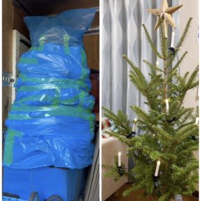 Disposal of large plants / large fir trees after the season in Tokyo.